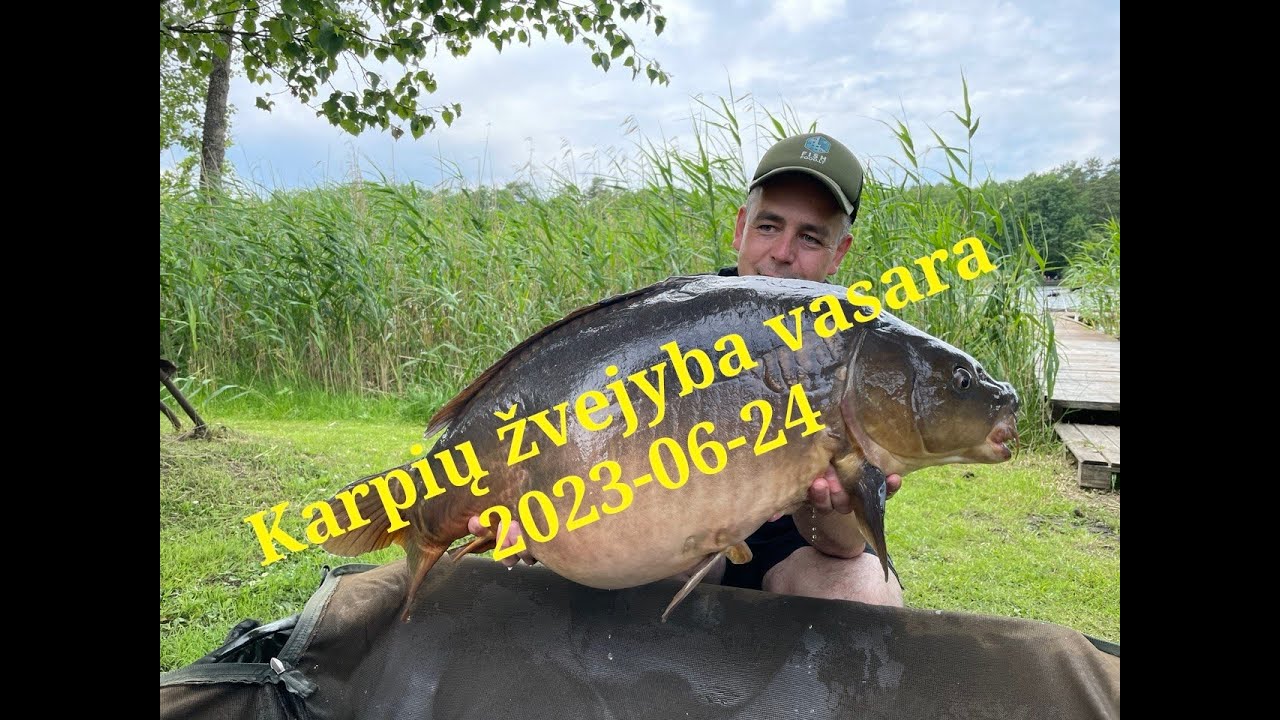Karpių žvejyba vasara 2023 06 24
