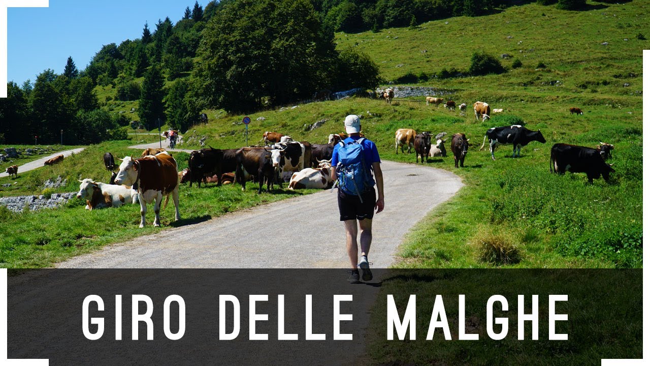 Giro delle Malghe ad Asiago