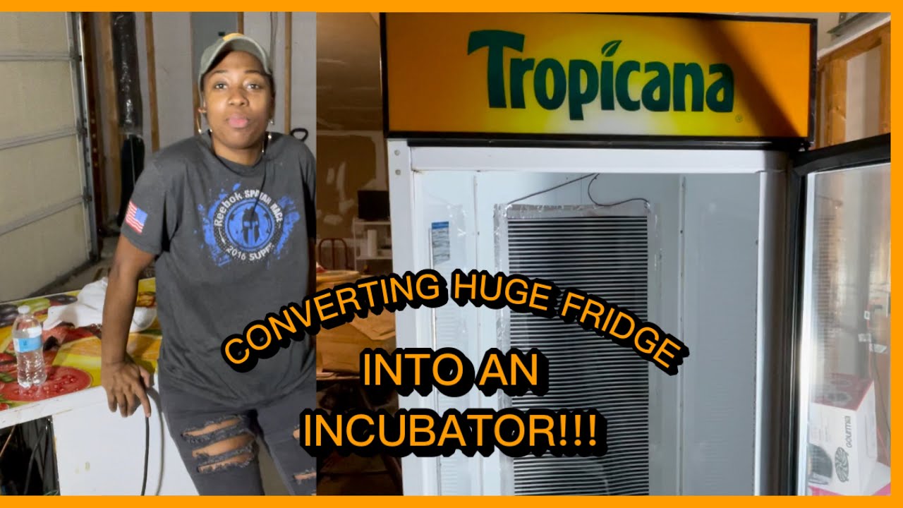 BUILT AN INCUBATOR USING 7FT FRIDGE!! | DIY INCUBATOR BUILD | BALL PYTHON BREEDER | PRECIOUS PYTHONS