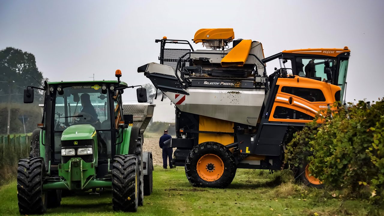 Vendemmia Lambrusco di Sorbara 2019 | Volentieri Pellenc | John Deere