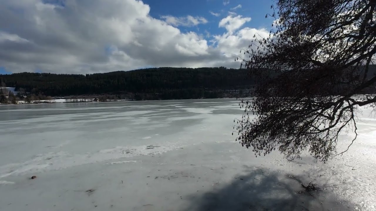Winter in the Black Forest | Frozen Titisee & Cozy City Walk