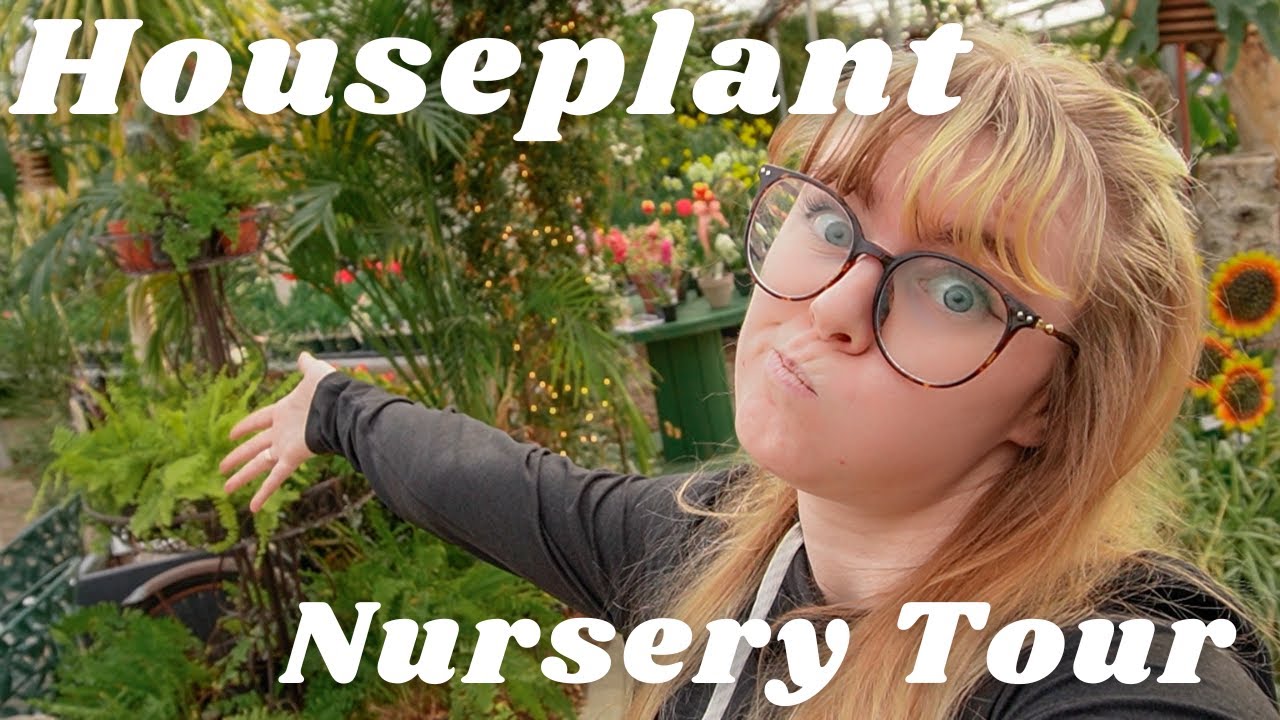 Beautiful Houseplant Nursery Plant Shop Tour! So Many Options!
