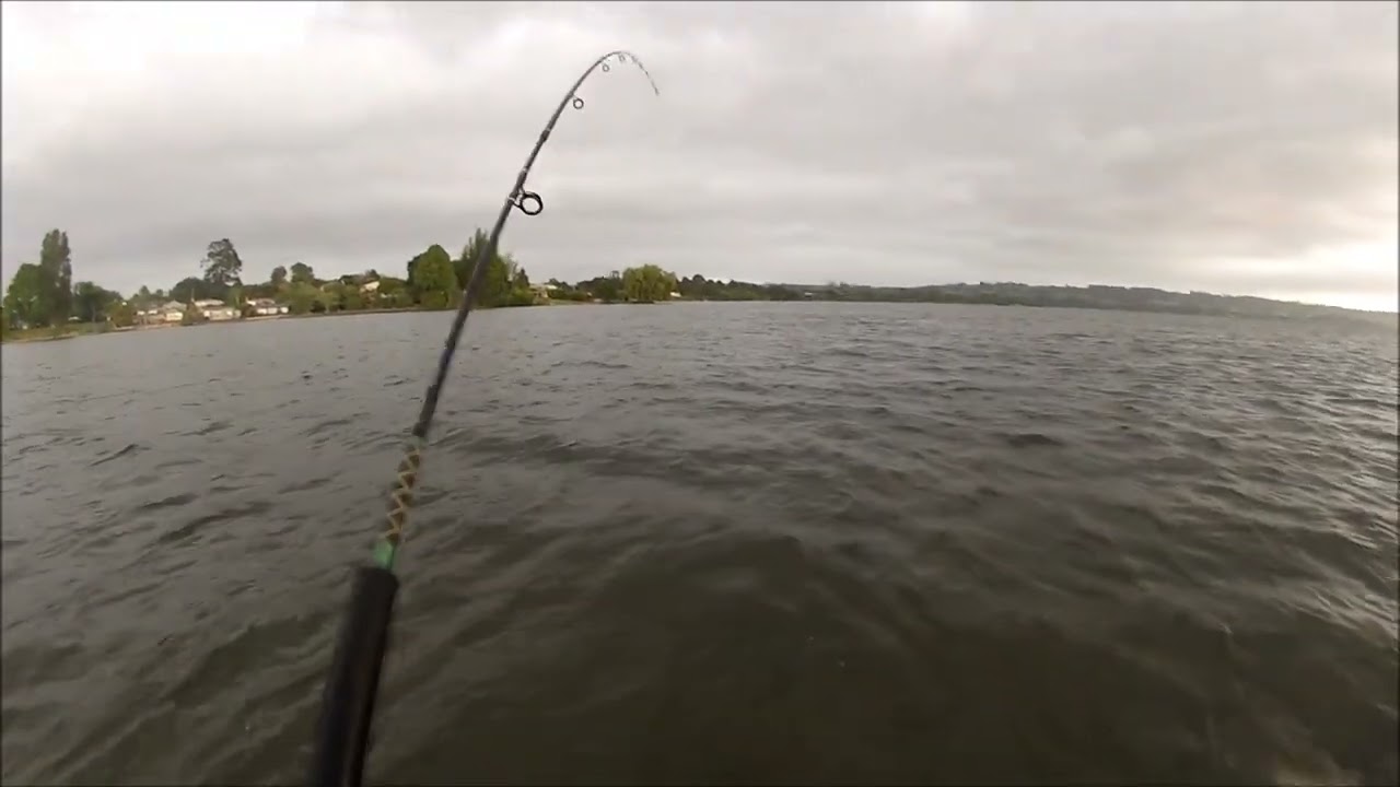 NEW ZEALAND TROUT FISHING WINDY WAYS 3