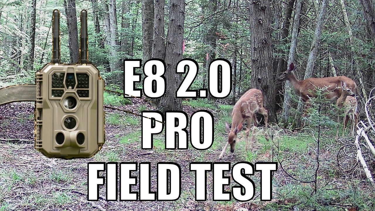 GardePro E8 2.0 Pro TRAIL CAMERA Field Test Results!