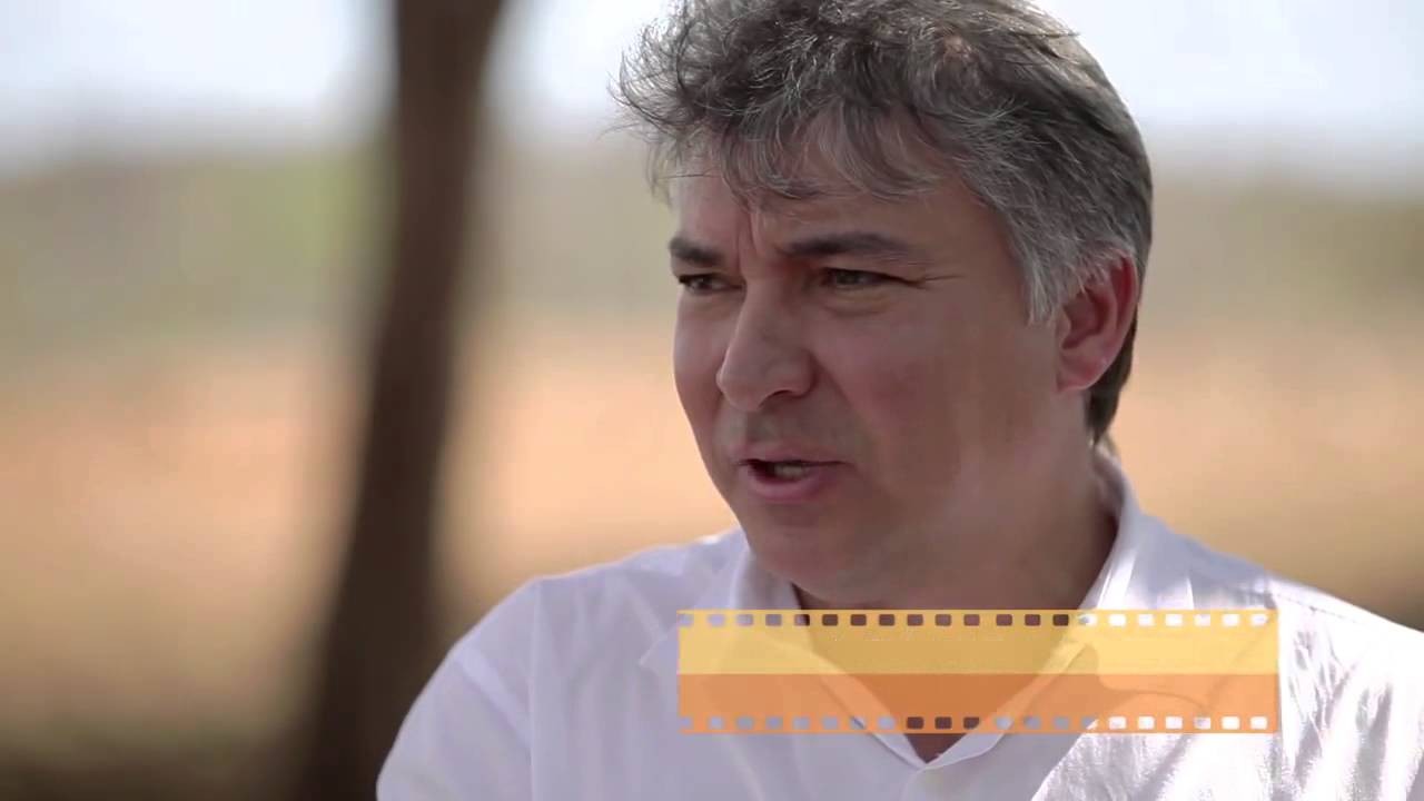 Bovinocultura de Leite produtiva no nordeste brasileiro
