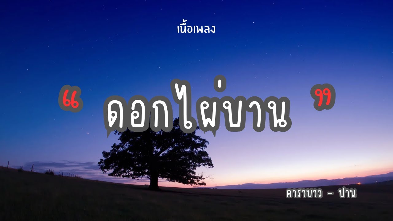 ดอกไผ่บาน คาราบาว - ปาน [เนื้อเพลง🎧] #ดอกไผ่บาน