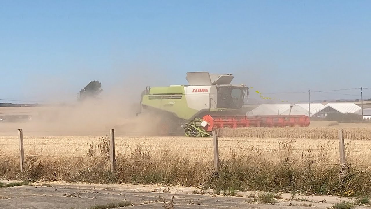 East Lothian Harvest  2022