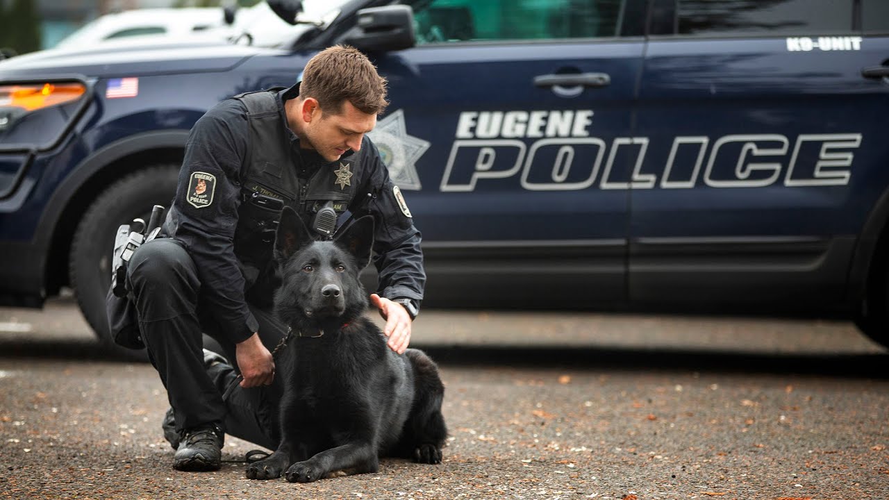 Two new K9s join the Eugene Police department