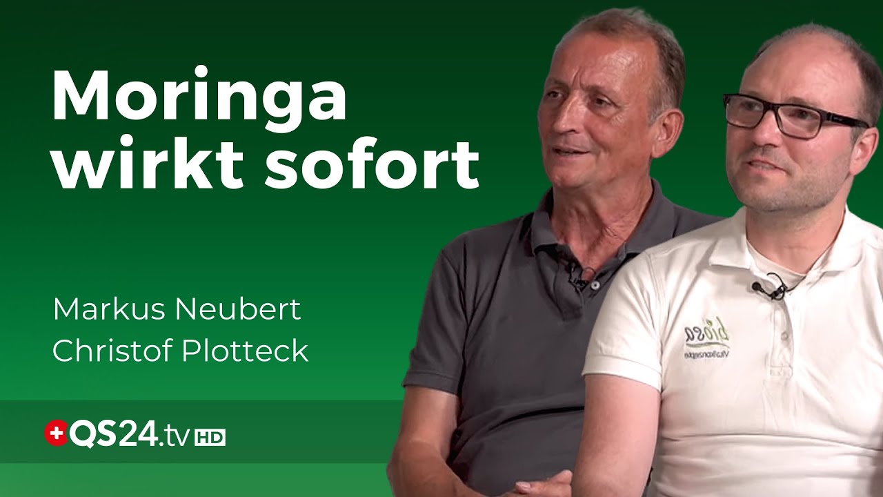 Gutes Moringa wirkt sofort | Gesundheit | QS24