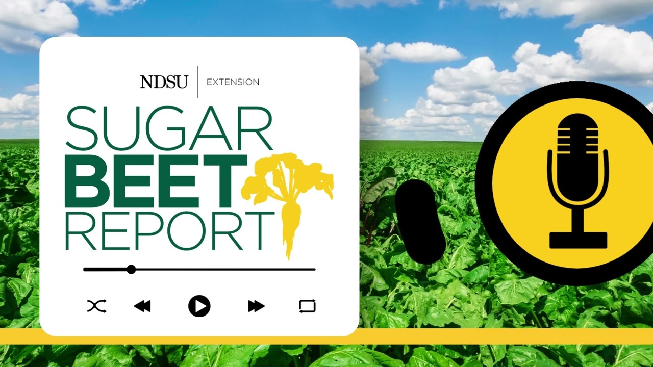 Soilborne Diseases - Sugarbeet Report