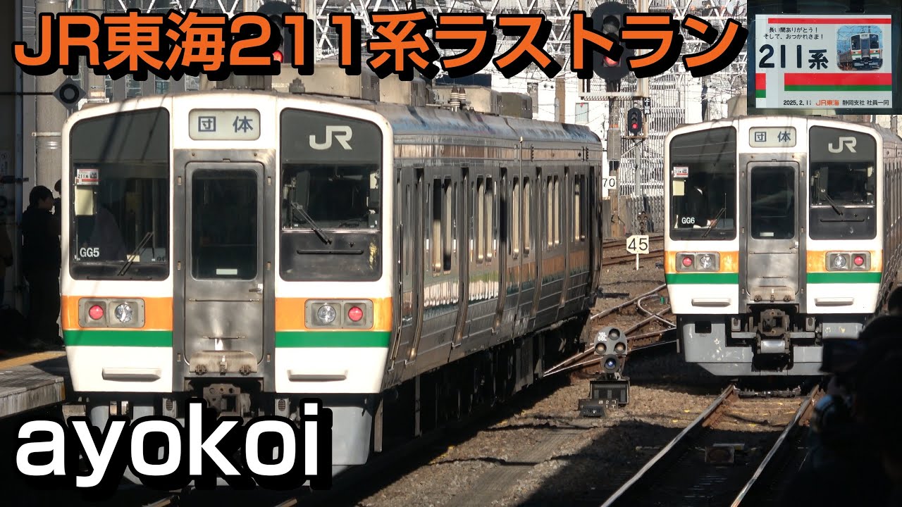 さよならJR東海211系 静岡地区ラストラン 専用団体列車