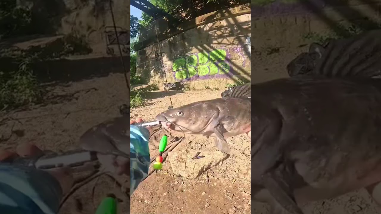 Спасибо