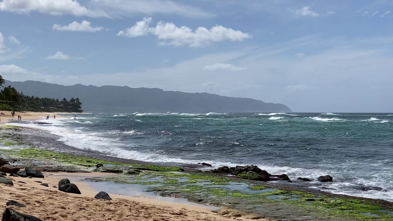 Laniakea Beach, Oahu, Hawaii