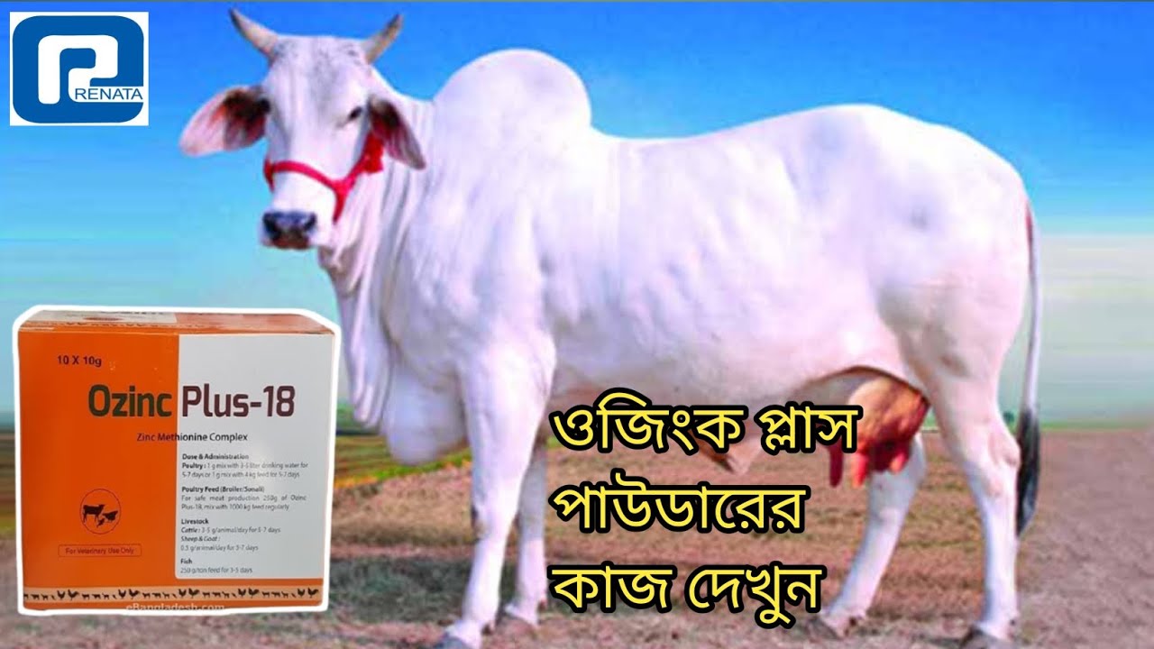Ozinc plus 18||ওজিংক প্লাস ১৮ পাউডারের কাজ কি দেখুন||mollahkrishitv