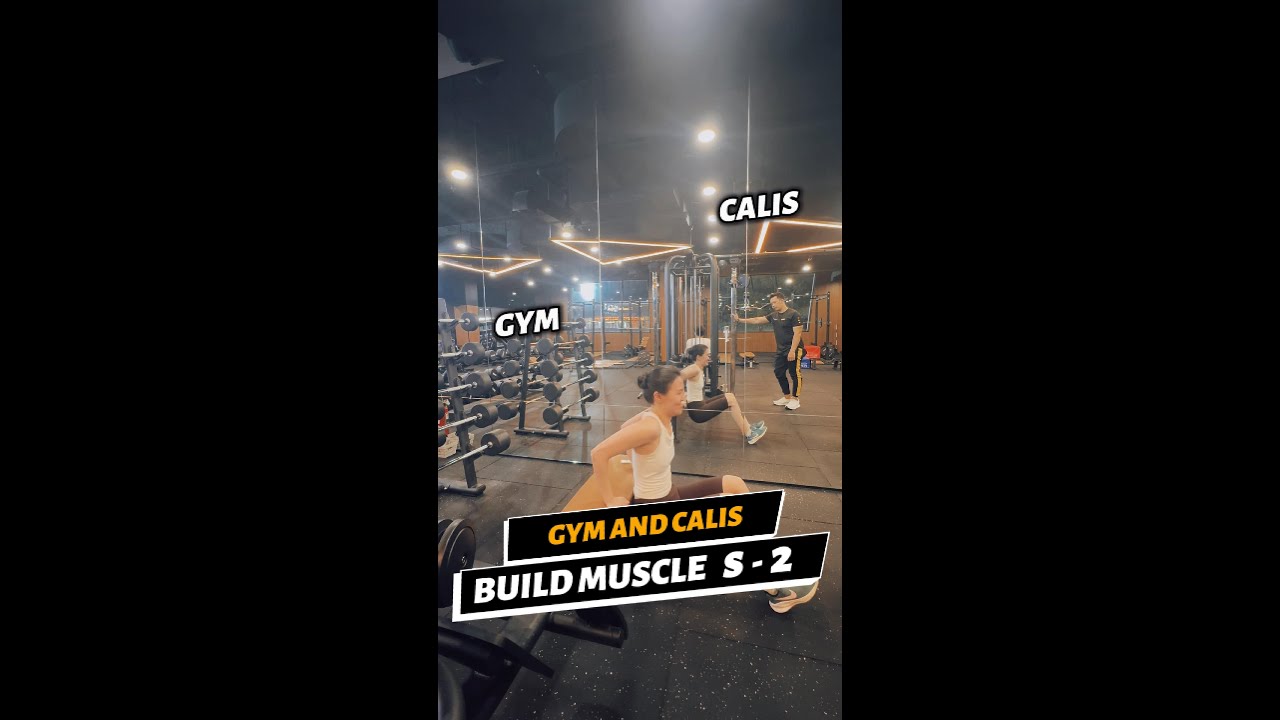 Build Muscle Session 2 | Progressive Strength Workout