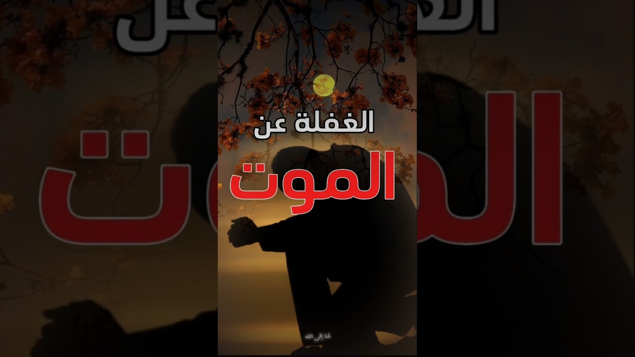 #موعظة______       الغفلة عن الموت
