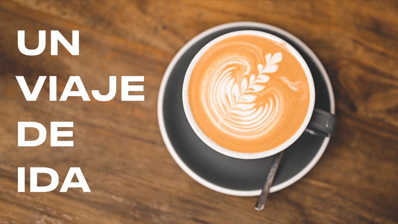 ¿QUÉ es el CAFÉ DE ESPECIALIDAD?