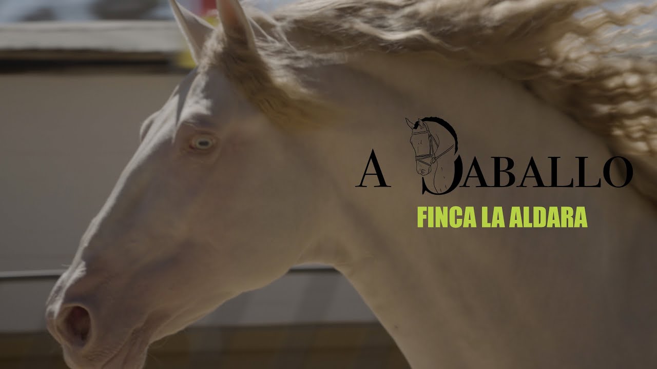 A Caballo finca la Aldara