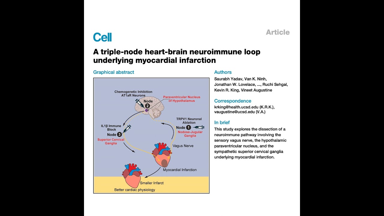 537-Neural Pathways of Cardiac Remodeling