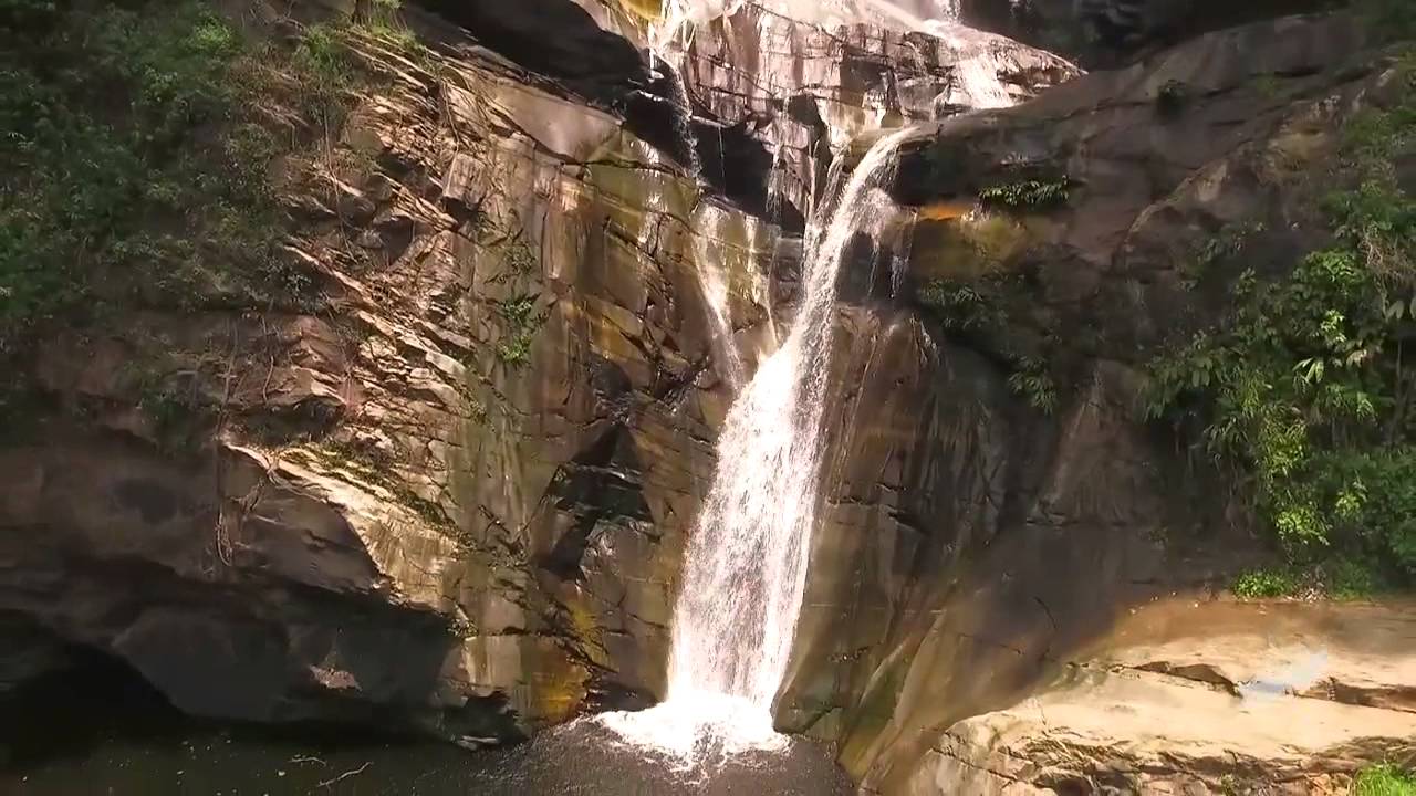 Chuao. Parque Nacional Henri  Pittier.