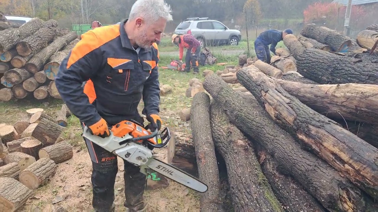 2025.11.08. Bánhorváti jótékonysági favágás