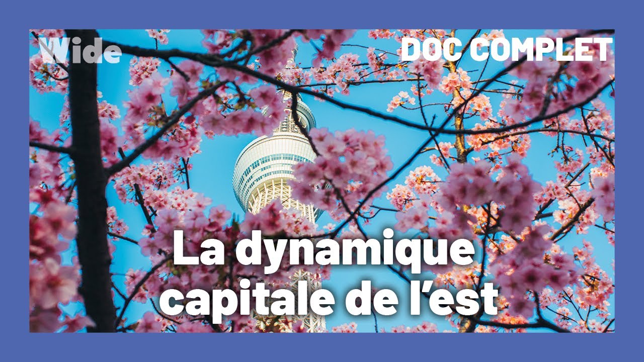 Tokyo : La ville la plus peuplée du monde I WIDE
