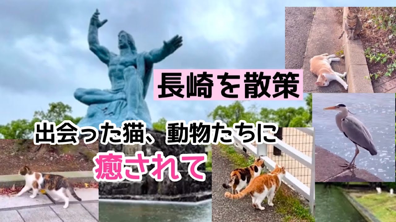 【vlog】長崎の猫、動物たちに癒されて🐈50代  町中さんぽ