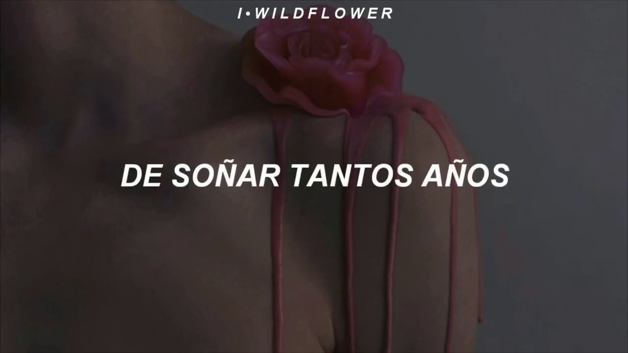Marisa Monte - Depois (Traducida al Espa&ntilde;ol)