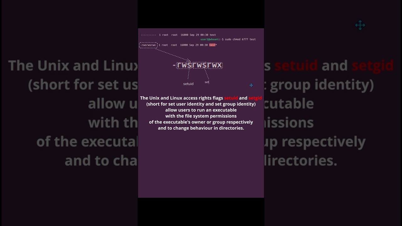 File permissions and special file permissions in Linux #linux #chmod #setuid #setgid