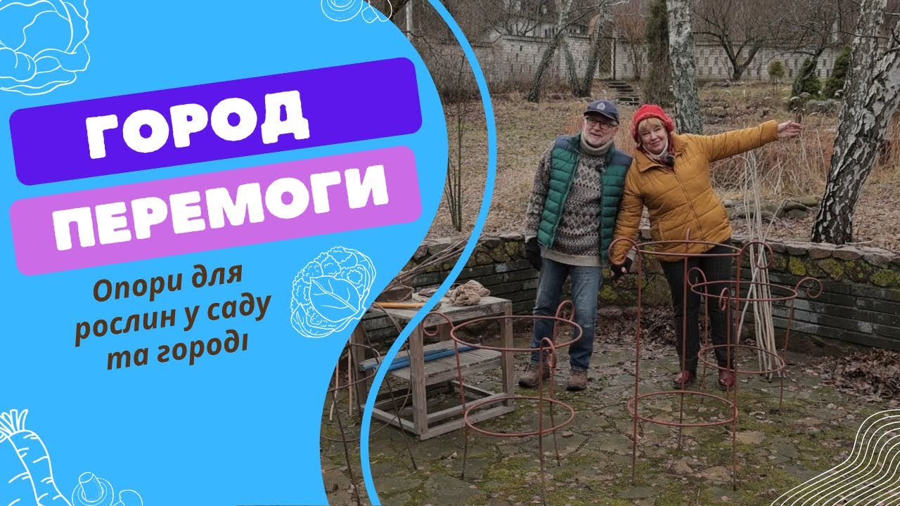 Опори для рослин у саду та городі: просто, надійно, власноруч