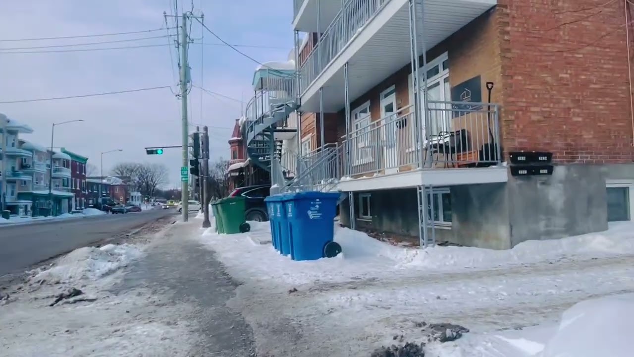 The Video my Name is Tushimiye Ian and Canadian actress Snow again January 31/2026 