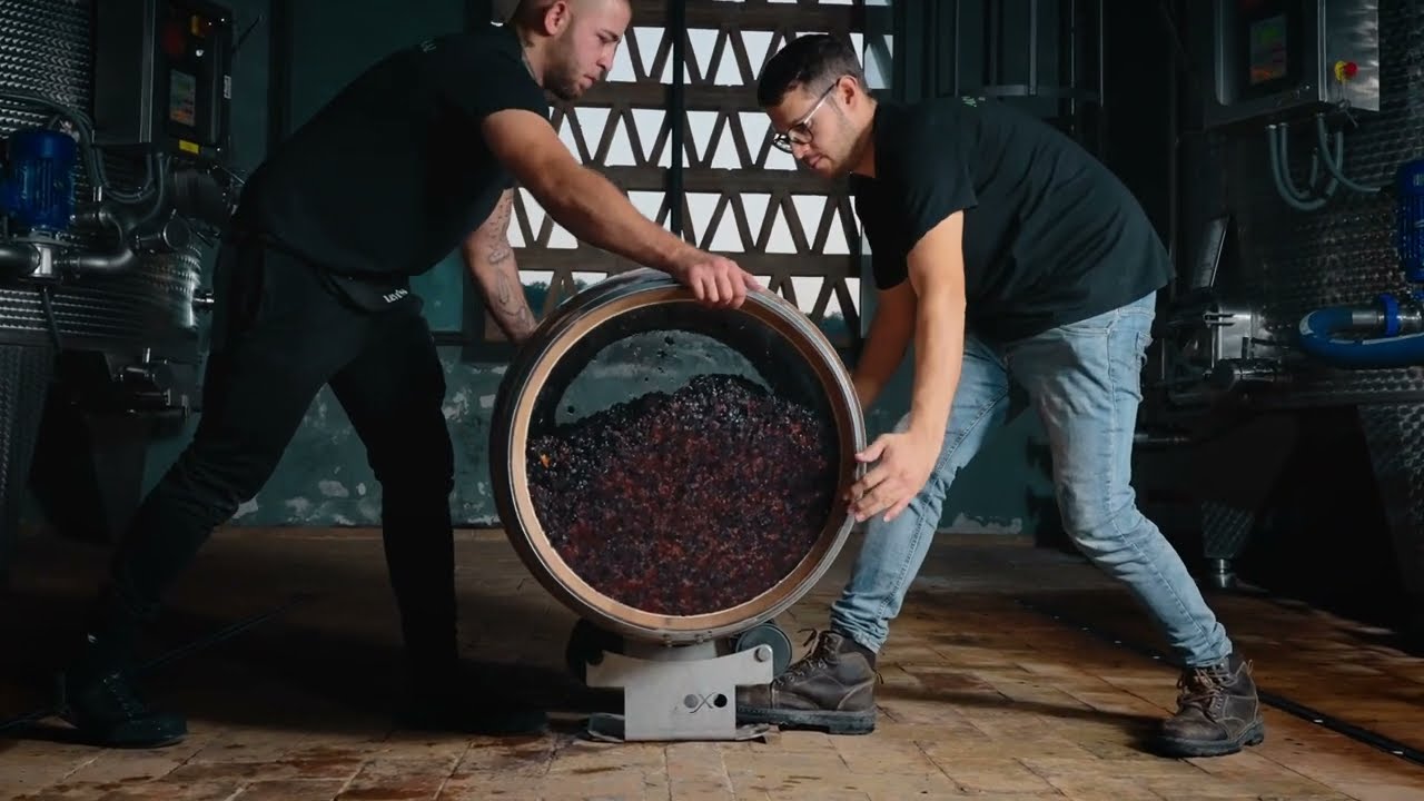 Arnaldo Caprai Vinification Int&eacute;grale