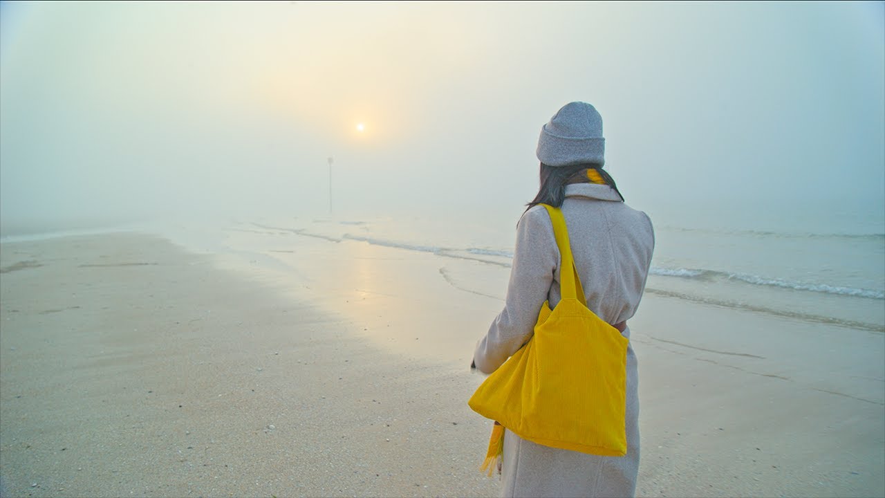 OCTOPUSCAMERA 8K LF - Sample Footage - The Mist