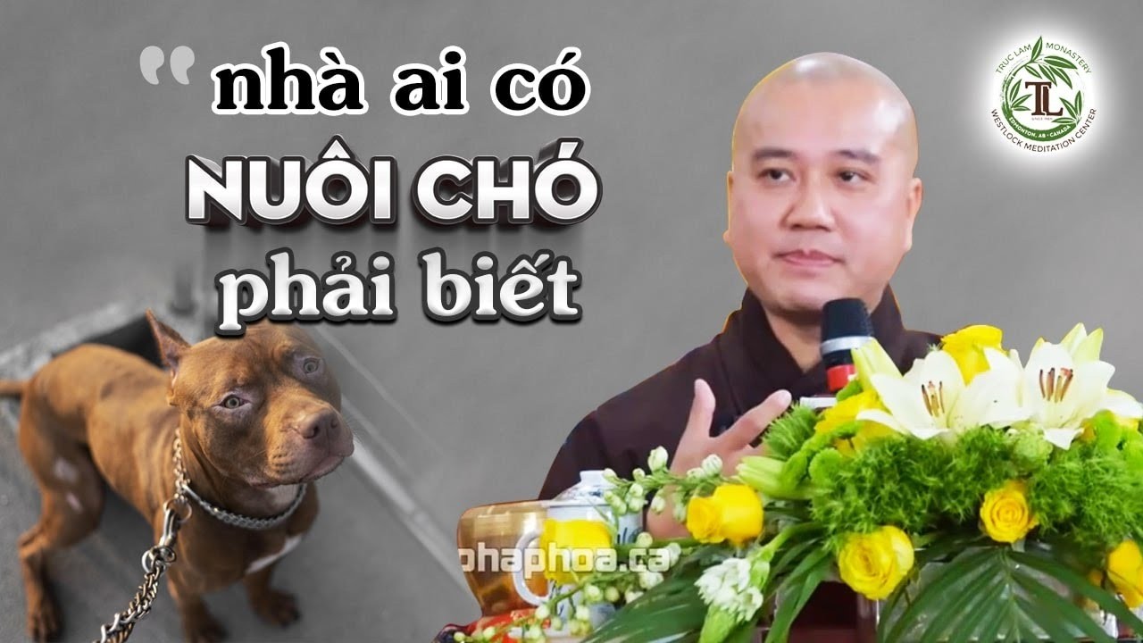 Nhà ai đang nuôi Chó cần phải biết những điều quan trọng này - Thầy Thích Pháp Hòa