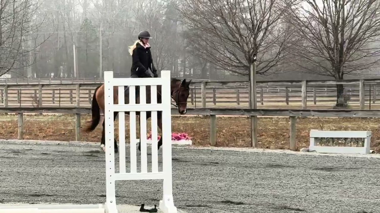 Pumba