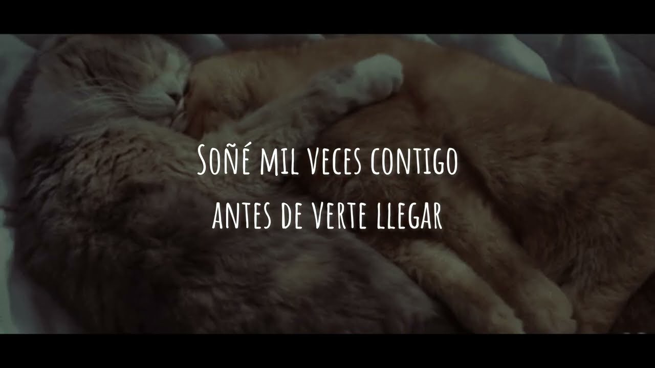 Más Que Mis Sueños - Me Quedé Queriéndote  (video lyric oficial)