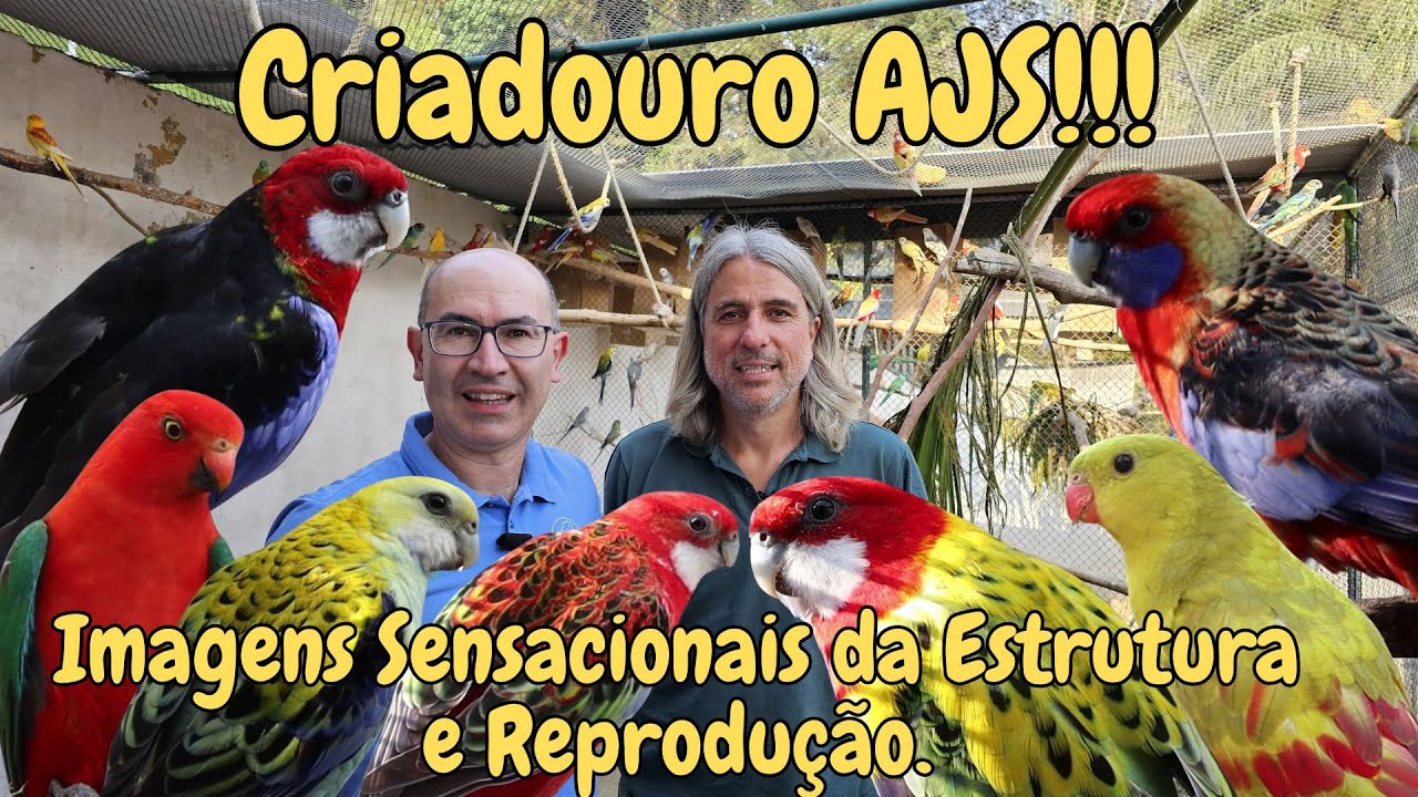 VISITA CONFERINDO A REPRODUÇÃO 2024 ESPETACULAR DO ADALBERTO!!!