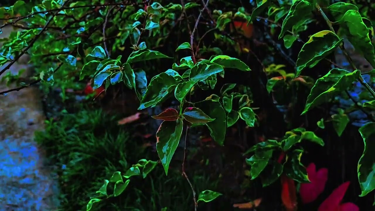🌧️ Soft Rain Drifting Through Emerald Leaves | Deep Sleep Nature ASMR