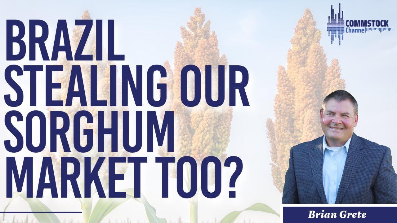 Brazil Stealing Our Sorghum Market Too?  With Brian Grete