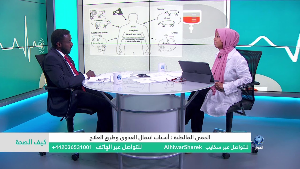 #شاهد| كيف الصحة : الحمى المالطية: أسباب انتقال العدوى، وطرق العلاج .. الجزء الثاني