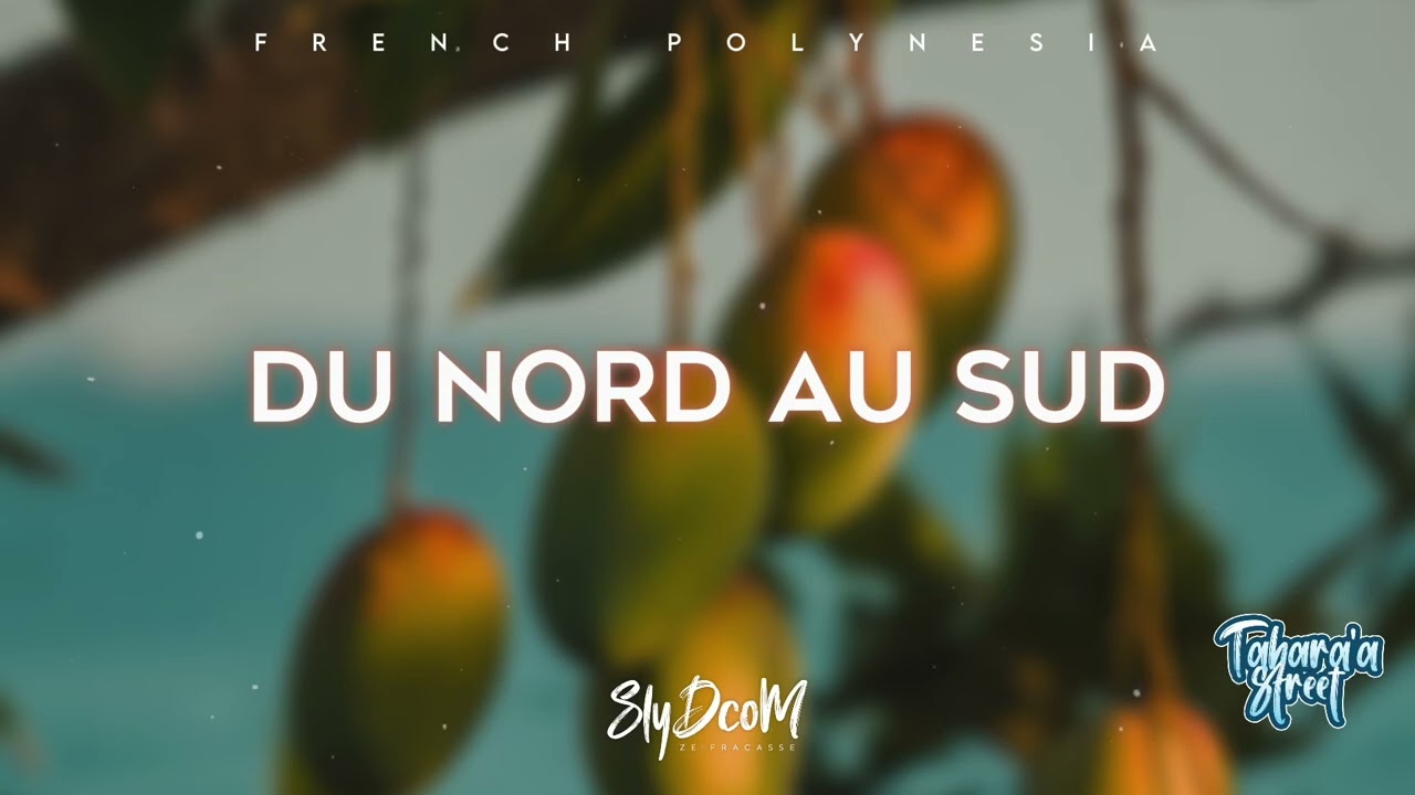 DU NORD AU SUD - (SlydcoM) 2025