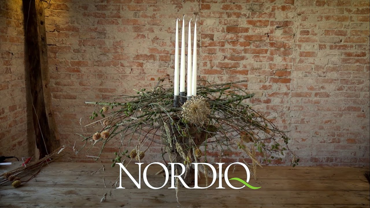 Frk. Grøn og Nordiqs Julekalender 5 - 8