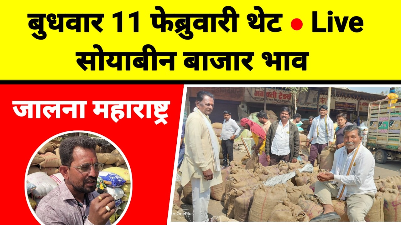 बुधवार 11 फेब्रुवारी थेट Live सोयाबीन बाजार भाव जालना महाराष्ट्र || पीक पाणी