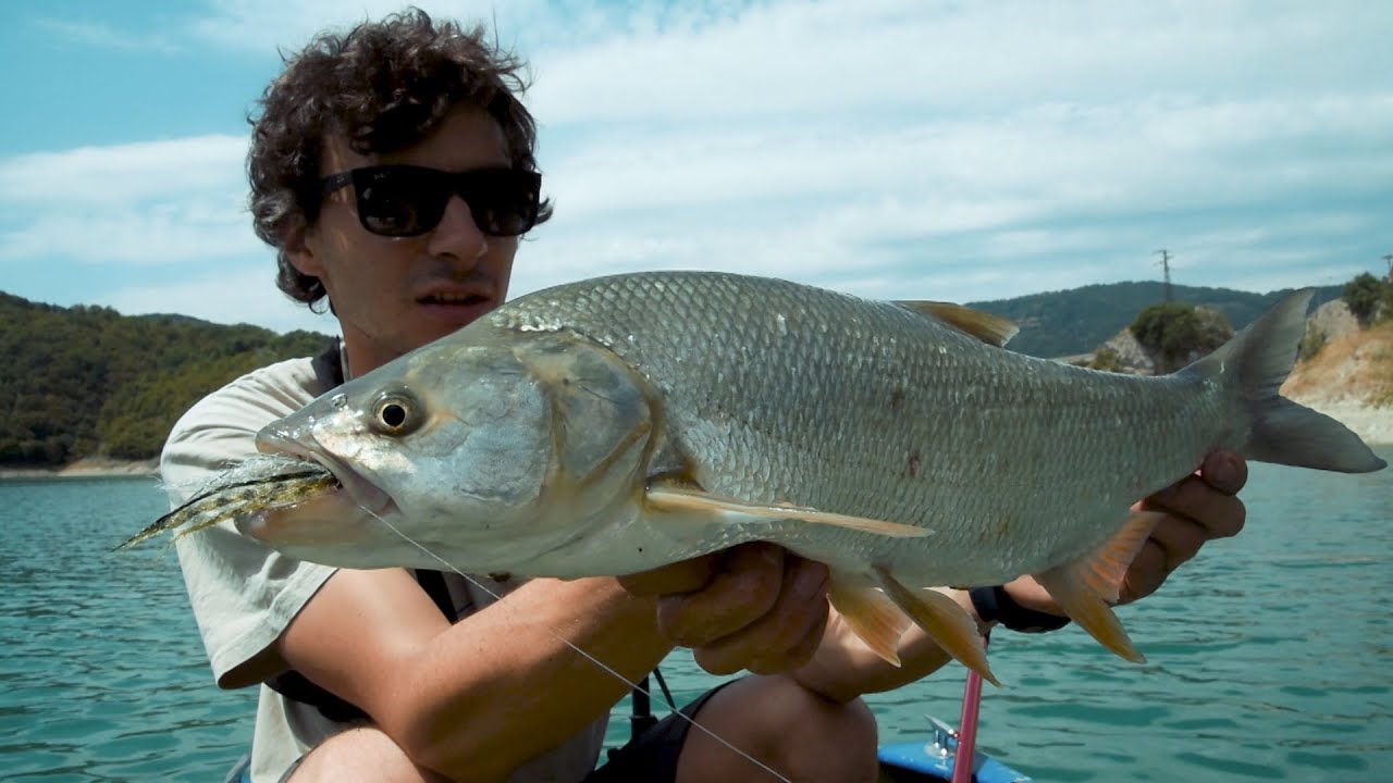 Match The Hatch - Aspi vs Persici - Flyfishing version