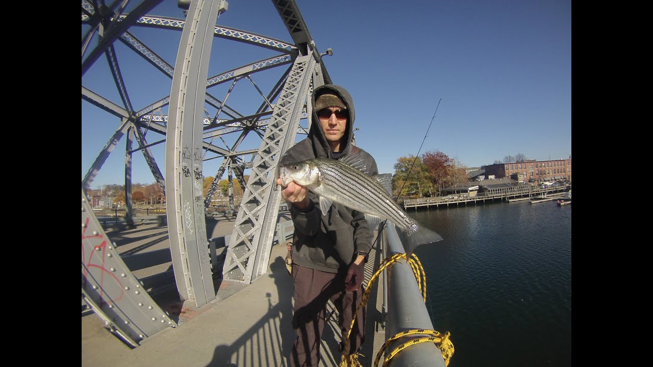 Striped Bass Fishing the Providence River Rhode Island