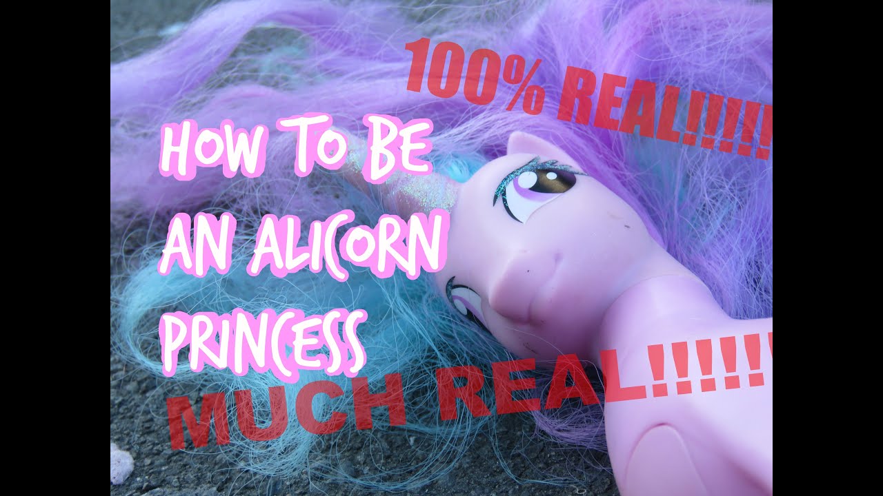 MLP- How To Be An Alicorn Princess