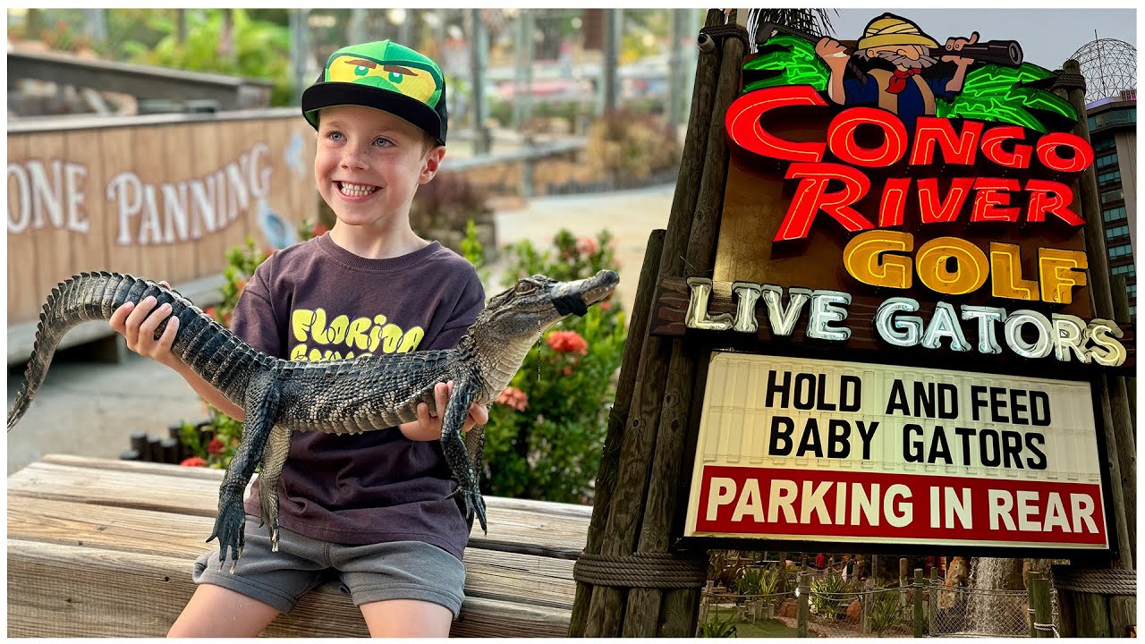 AN EVENING AT CONGO RIVER GOLF WITH AN UNEXPECTED VISITOR