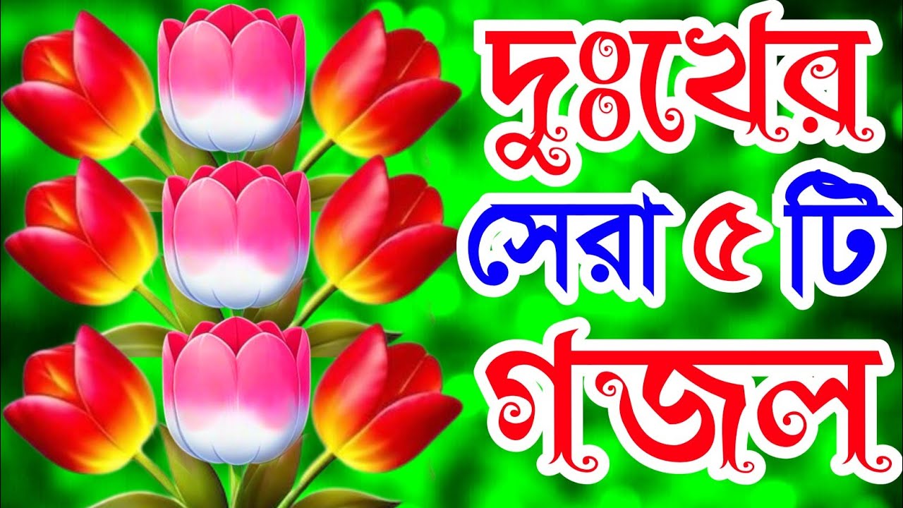 খুবই দুঃখের সেরা ৫টি গজল। যাইও নারে প্রাণ পাখি আমারে ছাড়িয়া। Trending gojol. Islamic Dong