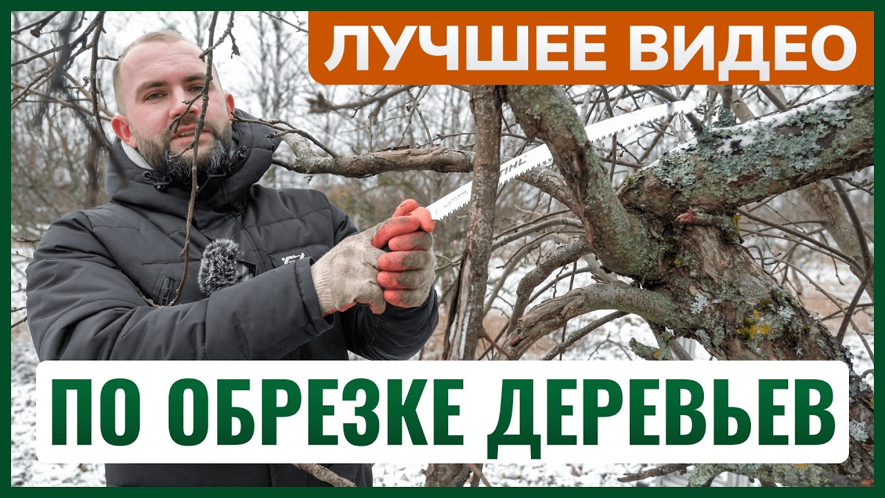 Обрезка деревьев ✂️ Учимся с нуля за 4 шага