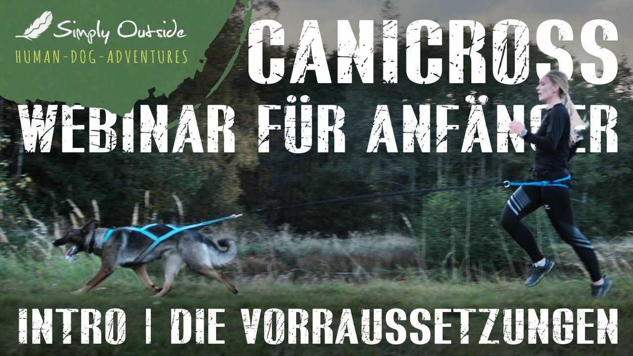 Canicross Einsteiger Webinar | Intro